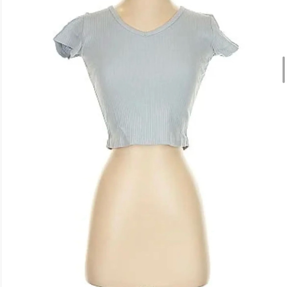 Brandy Melville Crop Top
